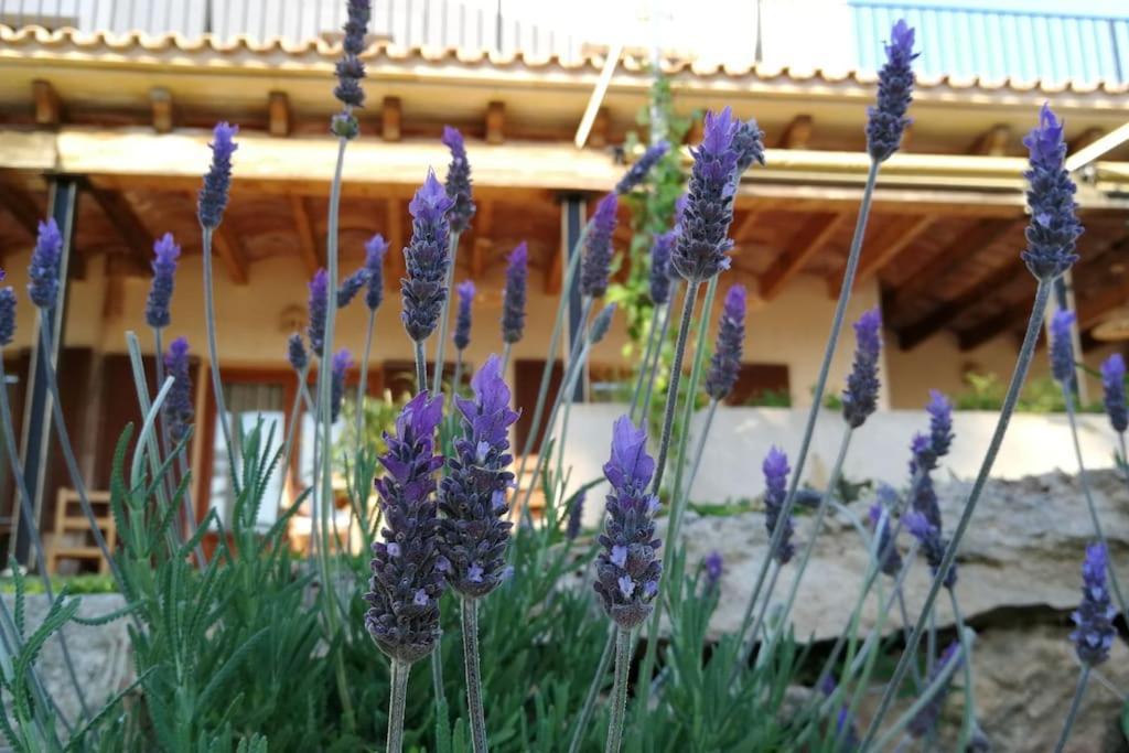 Finca Rural S'Estepa PMI Zewnętrze zdjęcie